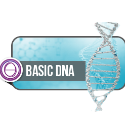 希塔姜姜︱基礎DNA︱國際官方認證療癒師課程