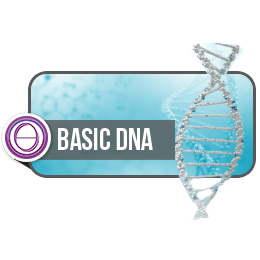 希塔姜姜︱基礎DNA︱國際官方認證療癒師課程