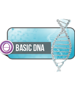 ThetaHealing® Basic DNA 基礎DNA